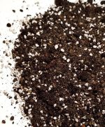 Podłoże do kaktusów