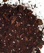 Podłoże do palm, juk, dracen, krotona