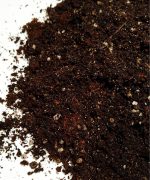 Podłoże do Begonia