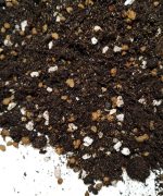 Podłoże do sukulentów, zamioculcas / zamiokulkas