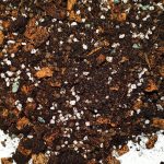 Podłoże do roślin Hoya (Hoja), Dischidia, Aeschynanthus /Eszynantus