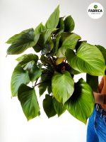 Kopia zdjecie produktu - 2021-02-27T081811.435