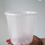 doniczka do przesadzania (4)