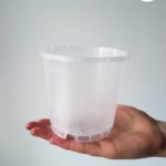 kontener do przesadzania 11cm