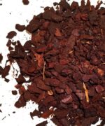 Kora Piniowa - obrazek 2