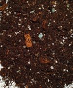 Podłoże do Epipremnum Scindapsus