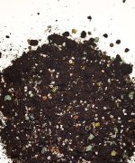 Podłoże do Strelitzia / Strelicja