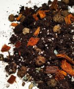 Podłoże do Anthurium / Anturium