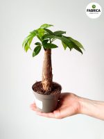 Kopia zdjecie produktu - 2021-03-15T205547.017