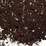 Podłoże do Ceropegia, Senecio