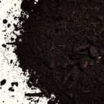 Worm castings BIOHUMUS od dżdżownic sypki - organiczny nawóz